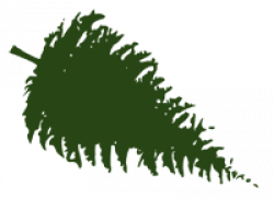 Tannenbaum klein